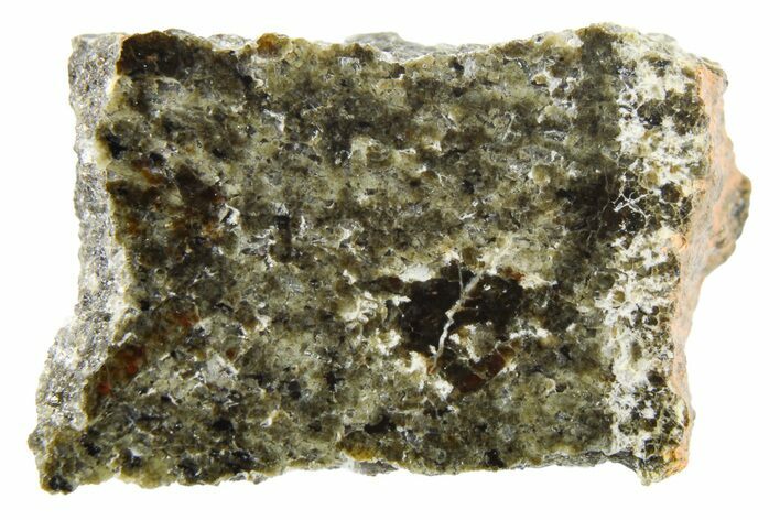 Polished Martian Meteorite Slice ( g) - NWA #262790